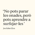 Jon_Kabat-Zinn_cat